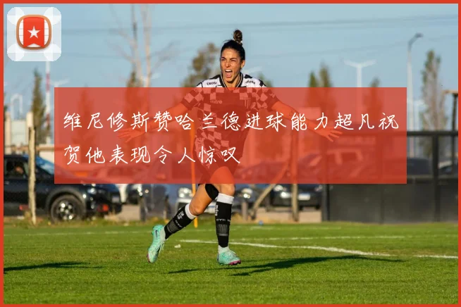 维尼修斯赞哈兰德进球能力超凡祝贺他表现令人惊叹